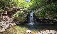 [포토] 지리산 칠선계곡에 찾아온 봄